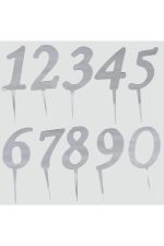 Gümüş Renkli Rakam Pasta ve Kek Pleksi-9 - Görsel 2