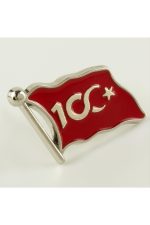 Cumhuriyetin 100. Yılına Özel Yaka Rozet-Gümüş Rengi - Görsel 3