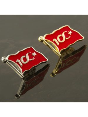 Cumhuriyetin 100. Yılına Özel Yaka Rozet-Gümüş Rengi