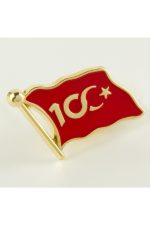 Cumhuriyetin 100. Yılına Özel Yaka Rozet-Sarı - Görsel 3