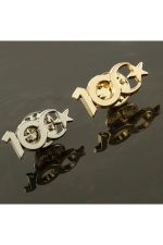 Cumhuriyetin 100. Yılına Özel Yaka Rozet-Gümüş Rengi - Görsel 2