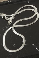 Yassı İtalyan Zincir Kolye 45 cm-Gümüş Rengi - Görsel 2