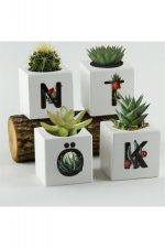 Harf Figürlü Kaktüs Sukulent Saksısı-C - Görsel 4