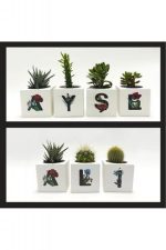 Harf Figürlü Kaktüs Sukulent Saksısı-C - Görsel 3