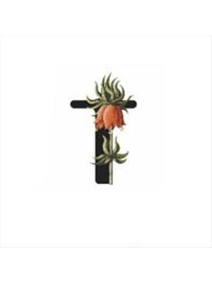 Harf Figürlü Kaktüs Sukulent Saksısı-T