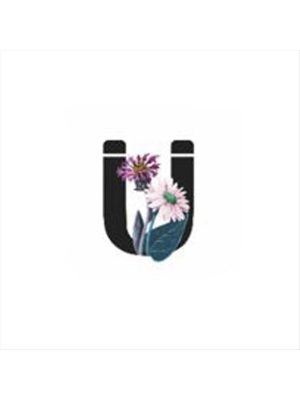 Harf Figürlü Kaktüs Sukulent Saksısı-Ü