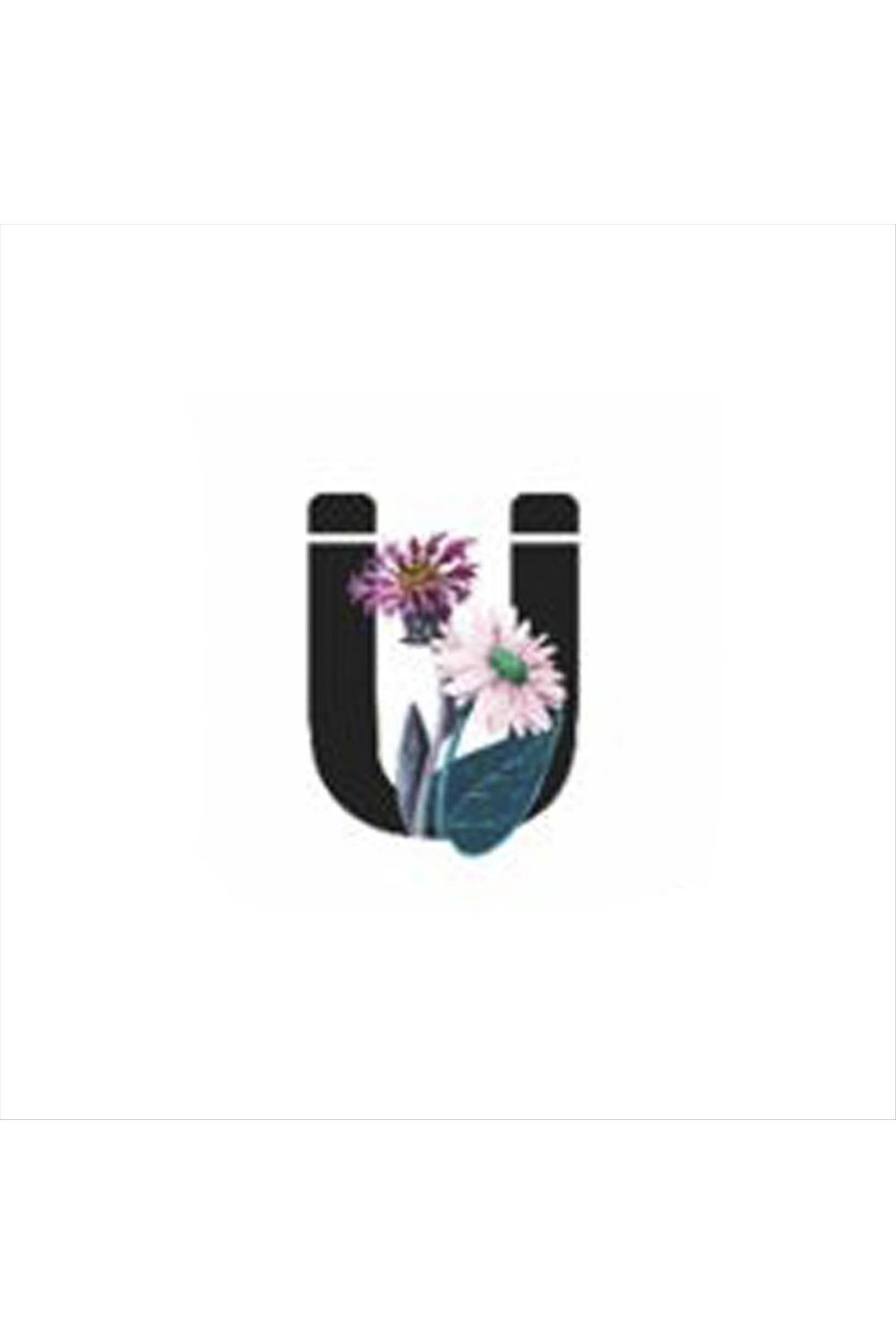 1202601_Harf-Figurlu-Kaktus-Sukulent-Saksisi-76e1.jpg Harf Figürlü Kaktüs Sukulent Saksısı-Ü - Görsel 1