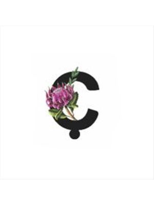 Harf Figürlü Kaktüs Sukulent Saksısı-Ç