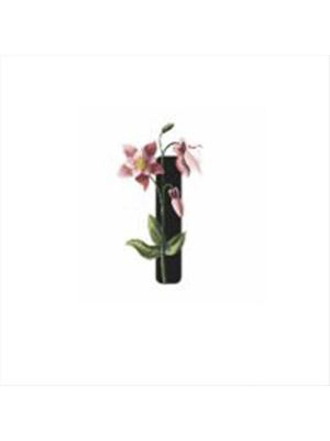 Harf Figürlü Kaktüs Sukulent Saksısı-I