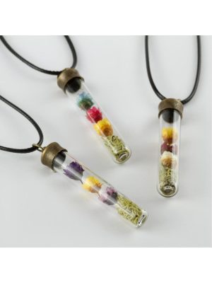 Fanus Canlı Kolye-Renkli