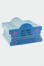 Ay Taşı - Balık Burç Bileklik Kartı-Mavi