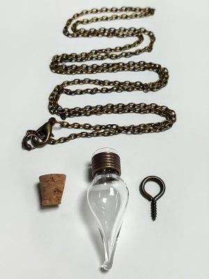 Boş Fanus Canlı Kolye-Şeffaf