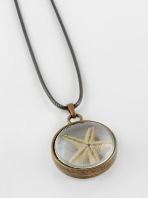 Deniz Yıldızı Canlı Kolye-Siyah