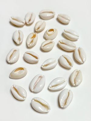 10 Adet Orjinal İstiridye Aparatı Küçük-Beyaz