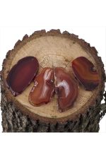 Plaka Akik Kolye Ucu  yemen zırhı-Kahverengi-1