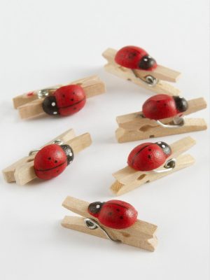 1 Adet Uğur Böceği Süs Mandal-Kahverengi