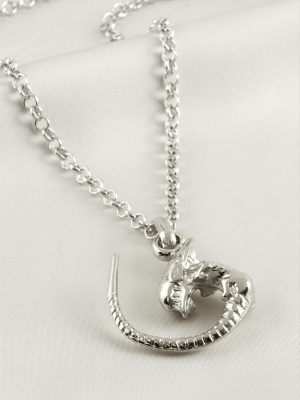 Canavar Erkek Kolye-Gümüş Rengi