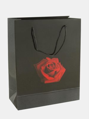 20X25 Gül İpli Karton Çanta 1 Adet-Siyah