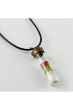 Gül Fanus Canlı Kolye-Siyah - Görsel 2