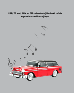 TWS Destekli FM Radyo ve USB Girişli Hoparlör - Görsel 3