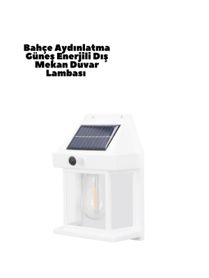 Güneş Enerjili Duvar Lambası BK888
