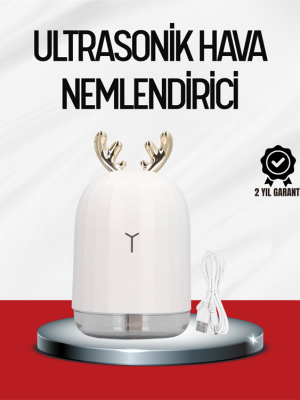 El Tipi USB Mini Soğuk Mist Nemlendirici 220 ml Tank