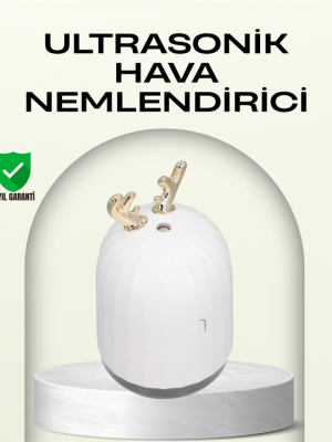 ABS+PP Malzemeli Taşınabilir 220 ml USB Mist Nemlendirici