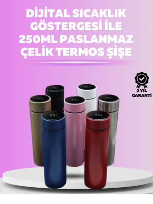 LED Sıcaklık Ölçerli 250 ml Yalıtımlı Termos Şişe