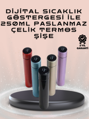 250ml LED Ekranlı Paslanmaz Çelik Akıllı Termos