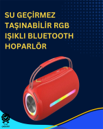 USB/SD/AUX Girişli Hoparlör – 10 W × 2 Çift Sürücü