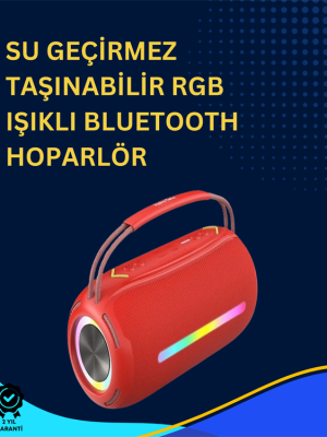 USB/SD/AUX Girişli Hoparlör – 10 W × 2 Çift Sürücü