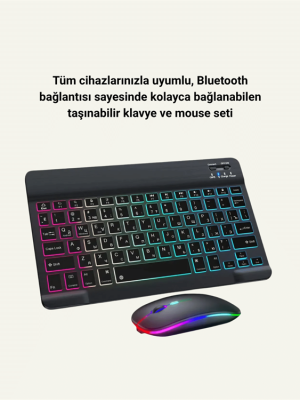 PG8033 Klavye Mouse Seti