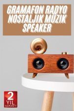 Gramafon Nostaljik Radyo Yüksek Ses Kalitesi USB TF Kart Aux - Görsel 2