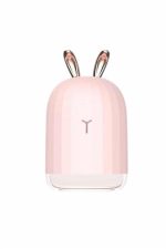 Led Işıklı Hava Nemlendirici Buhar Makinesi Dekoratif Aromaterapi