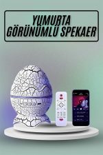 Yumurta Görünümlü Masa ve Gece Lambası Renk Değiştirebilen Projektör - Görsel 2