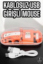 Fare Mouse Çift Modlu Kablosuz Bağlantılı 2.4GHz Destekli - Görsel 2