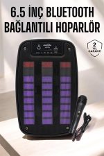 Bluetooth Hoparlör RGB Işıklı USB SD Kart Girişli Taşınabilir - Görsel 2