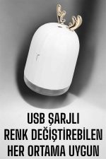 Aromaterapi Hava Temizleyici Buhar Makinesi Taşınabilir Şarjlı