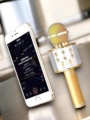 Şarjlı ve Uzun Pil Ömürlü Karaoke Mikrofon USB Bellek Destekli, Profesyonel Ses