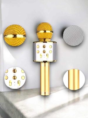 Taşınabilir Bluetooth Karaoke Mikrofon: Hafıza Kart Girişli, Etkileyici Performans