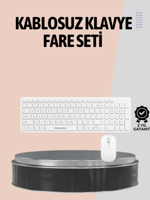 PG-8040 KLAVYE VE MOUSE SETİ