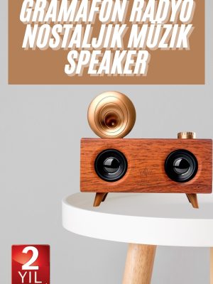 Gramafon Nostaljik Radyo Yüksek Ses Kalitesi USB TF Kart Aux