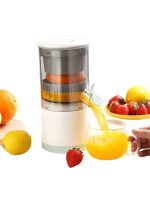 HS-93 MEYVE SIKACAĞI - Görsel 5