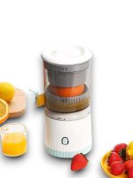 HS-93 MEYVE SIKACAĞI - Görsel 2