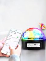 DİSKO TOPU - Görsel 3