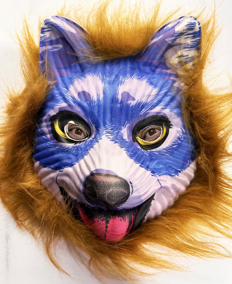 1221403_kahverengi-sacli-mavi-yuz-sevimli-kopek-maskesi-30-no-resim-4852.jpg Kahverengi Saçlı Mavi Yüz Sevimli Köpek Maskesi 30 No - Görsel 1