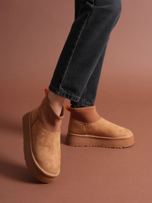 Cuen Taba Süet Bot (Numara: 37)