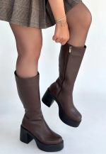 Disan Kahverengi Cilt Topuklu Çizme (Numara: 37)