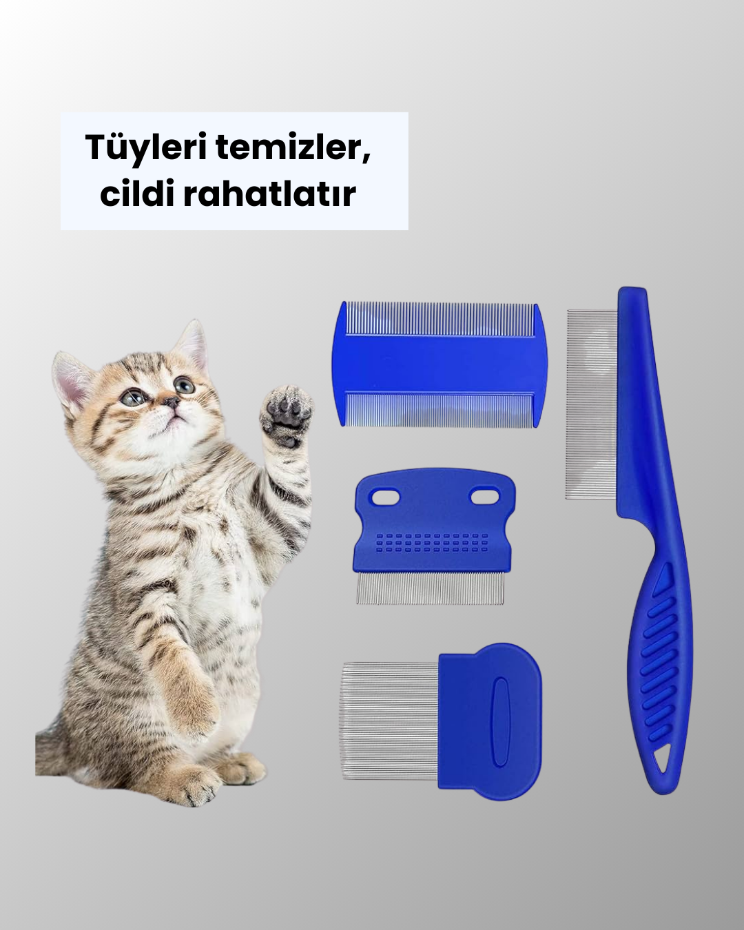1238476_8-72.png 4 Parçalı Evcil Hayvan Tarak Seti – Paslanmaz Çelik Dişli, Ergonomik Saplı - Görsel 4