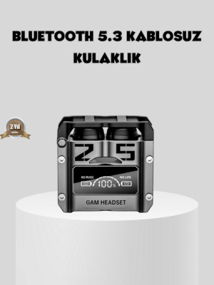 Gürültü Engelleyici Kablosuz Bluetooth Kulaklık – Oyun ve Müzik İçin Profesyonel Ses